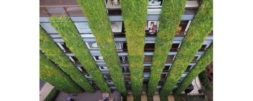 Στη Θεσσαλονίκη ο πρώτος κάθετος κήπος σε δημόσιο κτίριο στην Ελλάδα